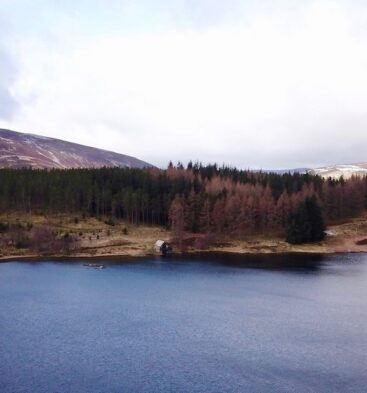 Glenisla Forest Biking Route