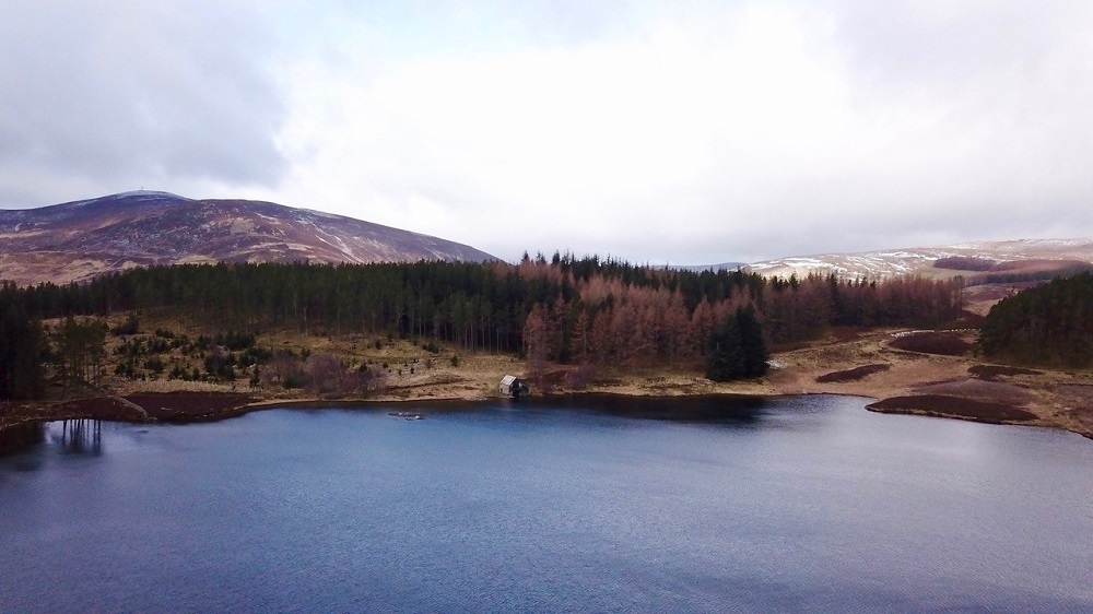 Glenisla Forest Biking Route