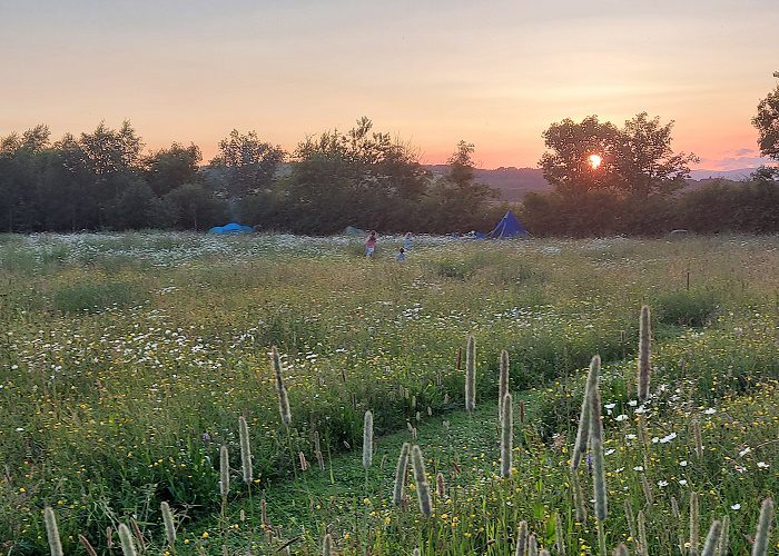 Greenhillock Glamping - Accommodation near Forfar