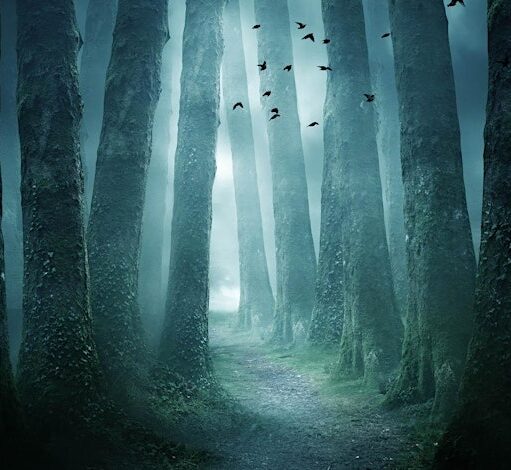 A digitally enhanced, atmospheric image of a dark and misty forest. A narrow path winds between tall, mossy trees, leading toward a bright, foggy light in the distance. A flock of dark birds flies above the path, and a faint blue glow illuminates the fog. The overall mood is mysterious and serene.