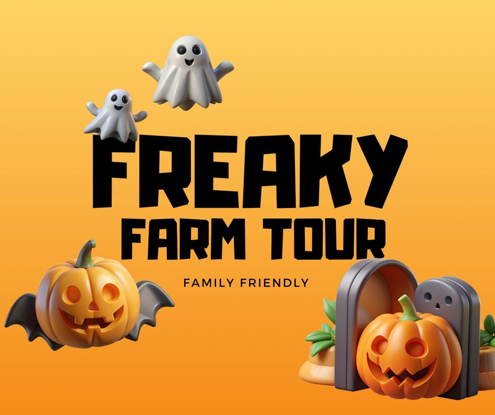A Halloween-themed graphic on an orange and yellow gradient background. The text "FREAKY FARM TOUR" is in large, bold, black letters. Below that, in a smaller font, it says "FAMILY FRIENDLY." Around the text are 3D-rendered Halloween figures. In the top left, two playful white ghosts are floating. In the bottom left, a glowing jack-o'-lantern with bat wings is flying. In the bottom right, another jack-o'-lantern is placed next to a tombstone and a planter.