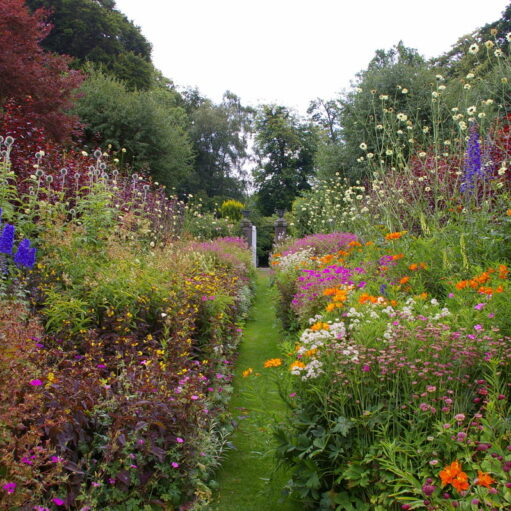 Scotland’s Gardens Scheme – Pitmuies Gardens
