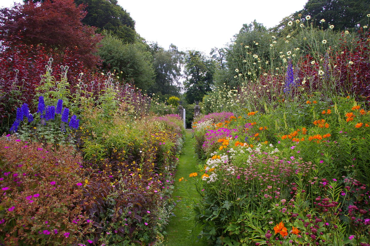 Scotland’s Gardens Scheme – Pitmuies Gardens