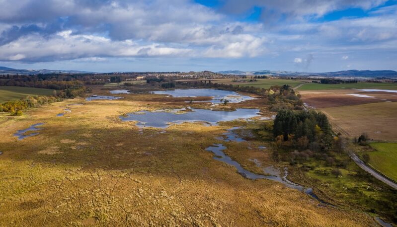 Loch of Kinnordy, Kirriemuir