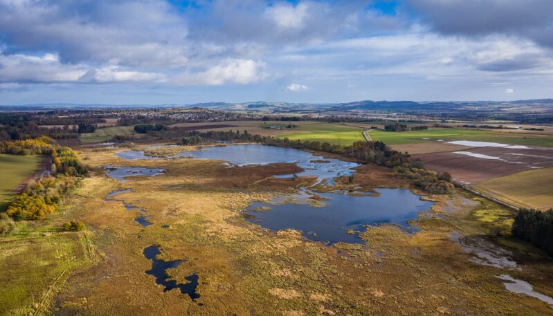 Loch of Kinnordy, Kirriemuir