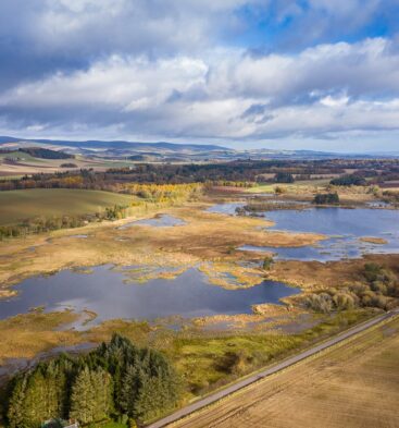 Loch of Kinnordy, Kirriemuir