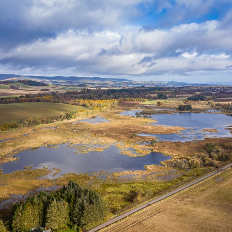 Loch of Kinnordy, Kirriemuir