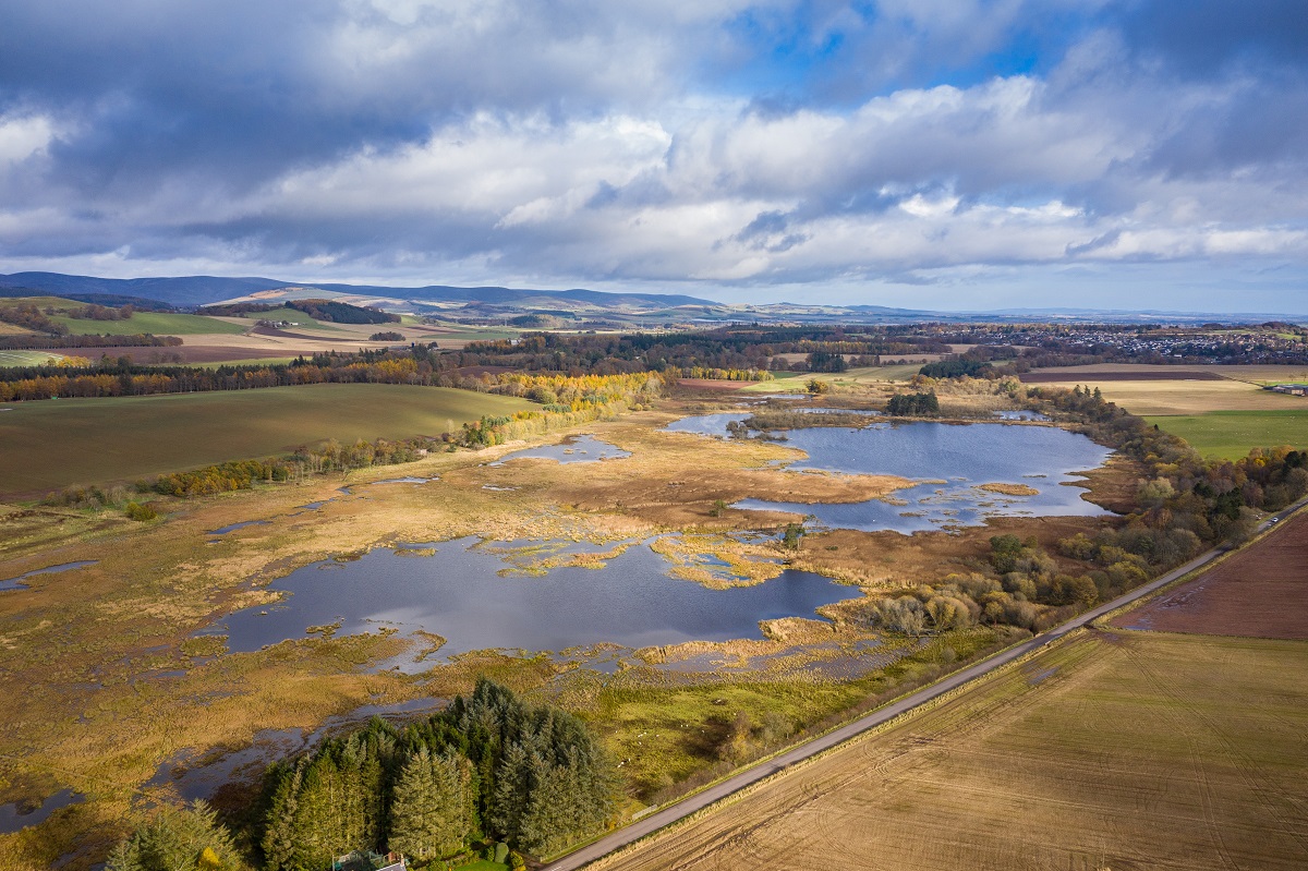 Loch of Kinnordy, Kirriemuir