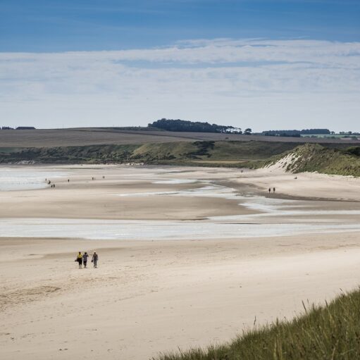 Lunan Bay Beach, near Montrose