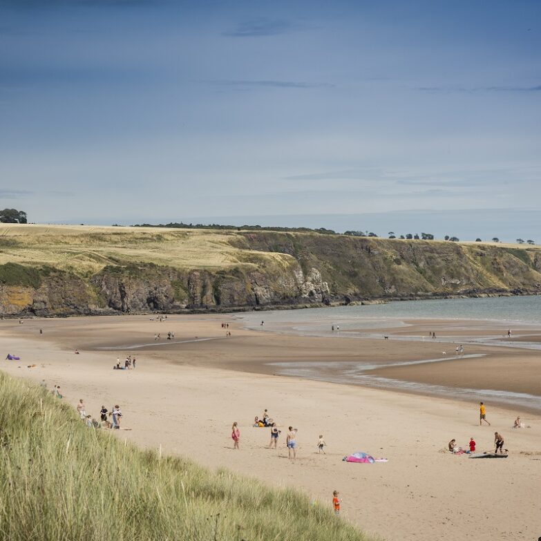 Lunan Bay Beach, near Montrose