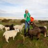 Lunan Bay Farm Scottish Cashmere Experience