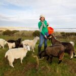 Lunan Bay Farm Scottish Cashmere Experience