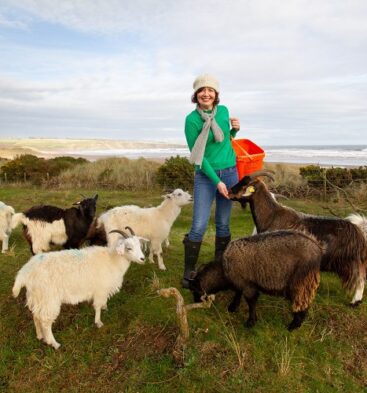 Lunan Bay Farm Scottish Cashmere Experience