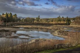Monikie Country Park