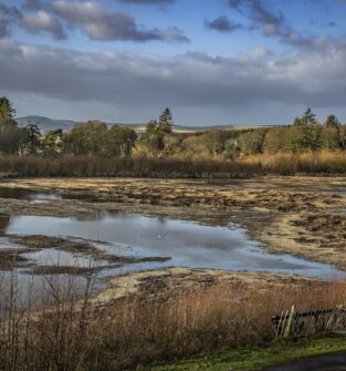 Monikie Country Park