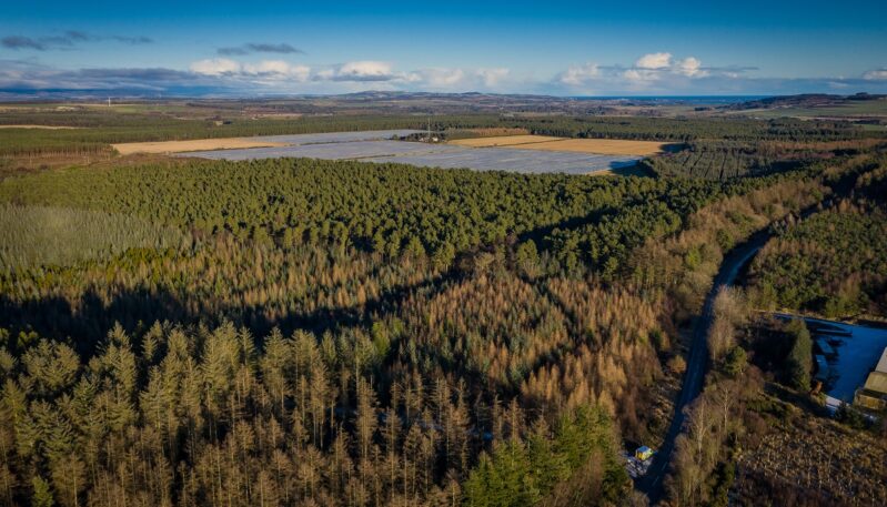 Montreathmont Forest, between Forfar and Montrose