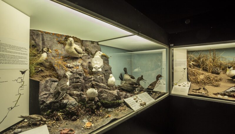 Montrose Museum and Art Gallery