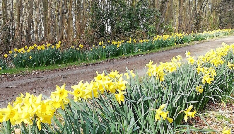 Monument Cottage - Self Catering Accommodation near Carnoustie