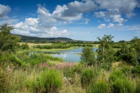 Murton Farm and Nature Reserve, near Forfar