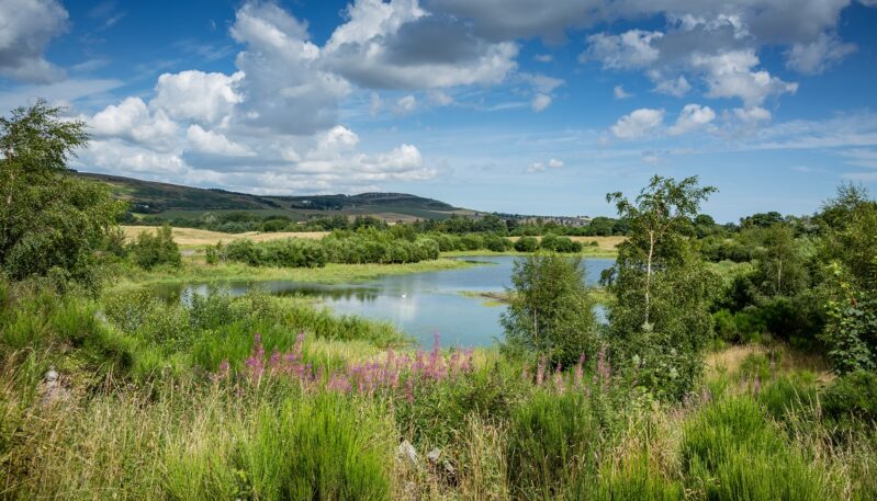 Murton Farm and Nature Reserve, near Forfar