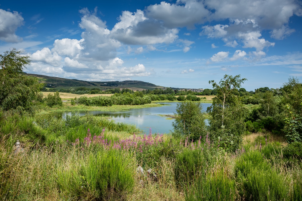Murton Farm and Nature Reserve, near Forfar