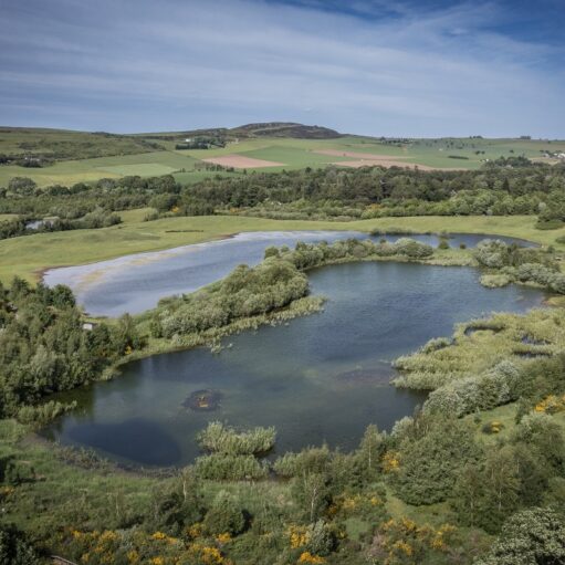 Murton Farm and Nature Reserve, near Forfar