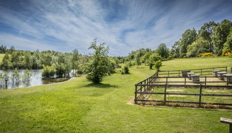 Murton Farm and Nature Reserve, near Forfar