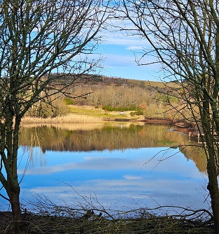 Murton Nature Reserve, near Forfar