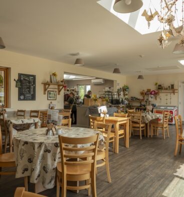 Murton Tea Room, near Forfar