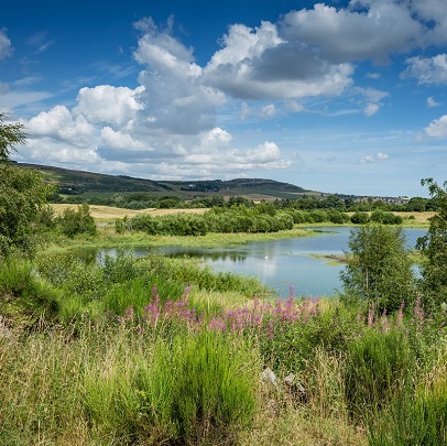 Murton Farm and Nature Reserve, near Forfar
