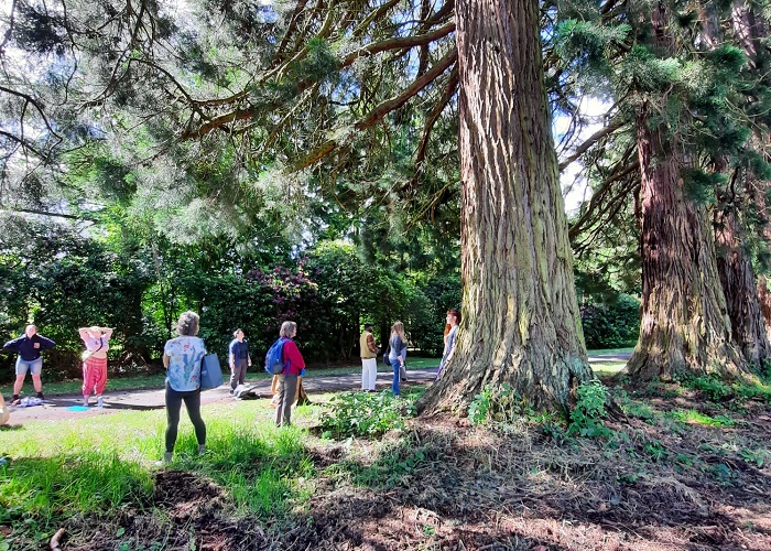 Nature Happy Forest Bathing