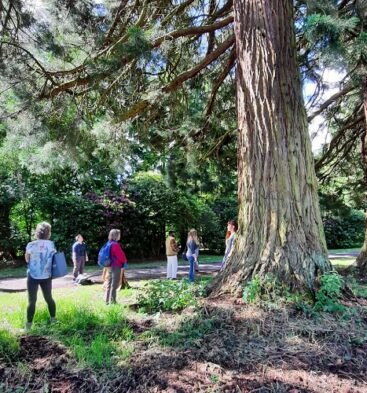 Nature Happy Forest Bathing