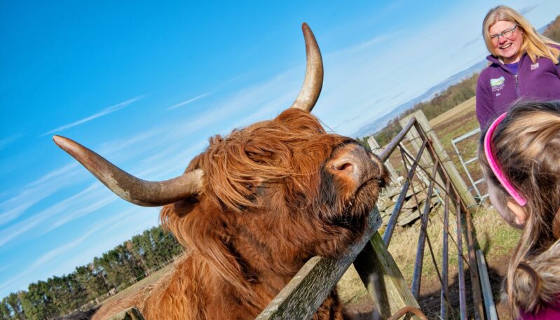 Newton Farm Tours, near Forfar