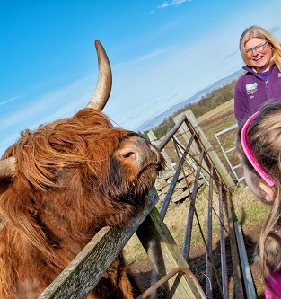 Newton Farm Tours, near Forfar