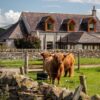 Newton Farm B&B - Accommodation near Forfar