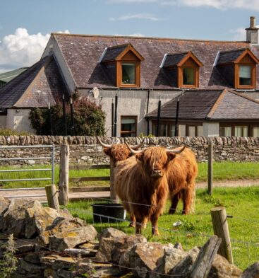 Newton Farm B&B - Accommodation near Forfar