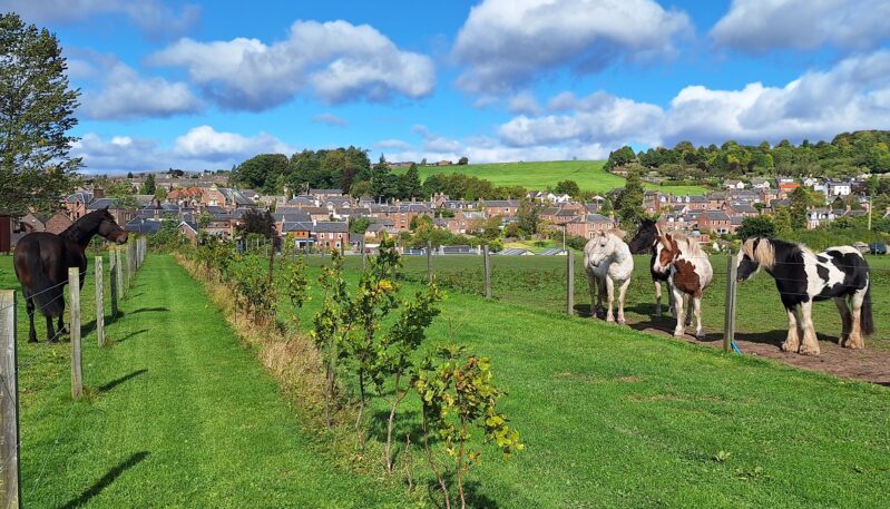 Pathhead Equestrian Centre, Kirriemuir