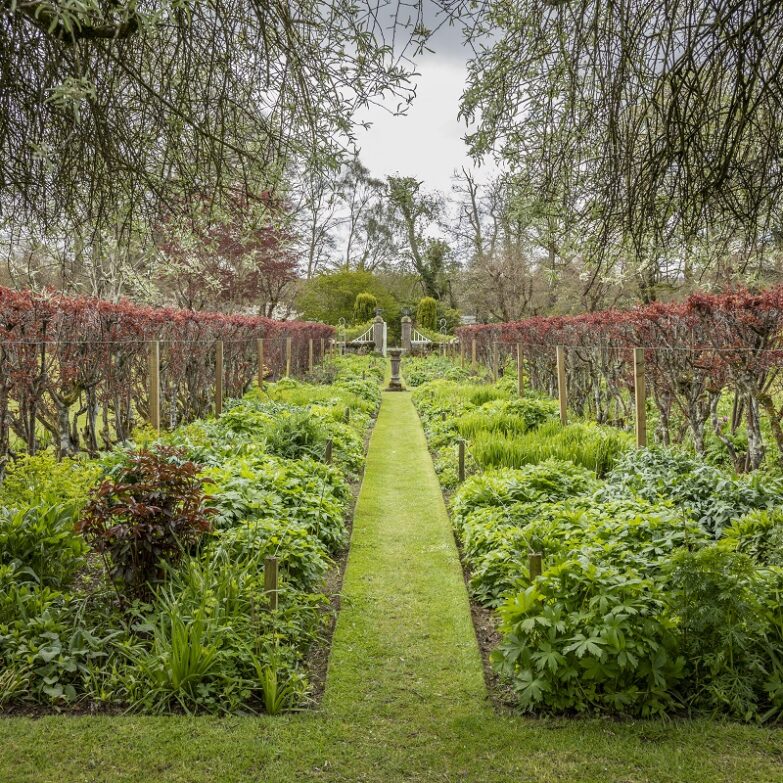 Pitmuies Gardens, near Forfar