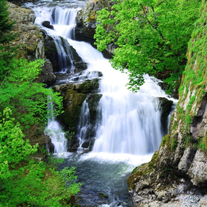 Reekie Linn waterfall, Glen Isla