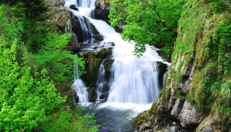 Reekie Linn waterfall, Glen Isla