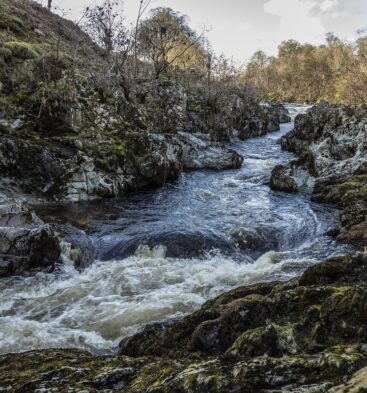 Rocks of Solitude, Edzell