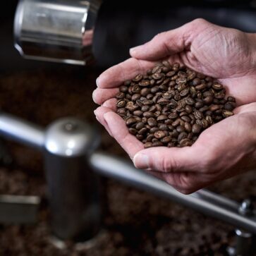 Sacred Grounds Coffee Company, Arbroath