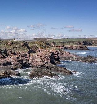 Arbroath Cliffs