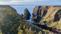 Stories of Stone - guided geology walks of the Arbroath Cliffs