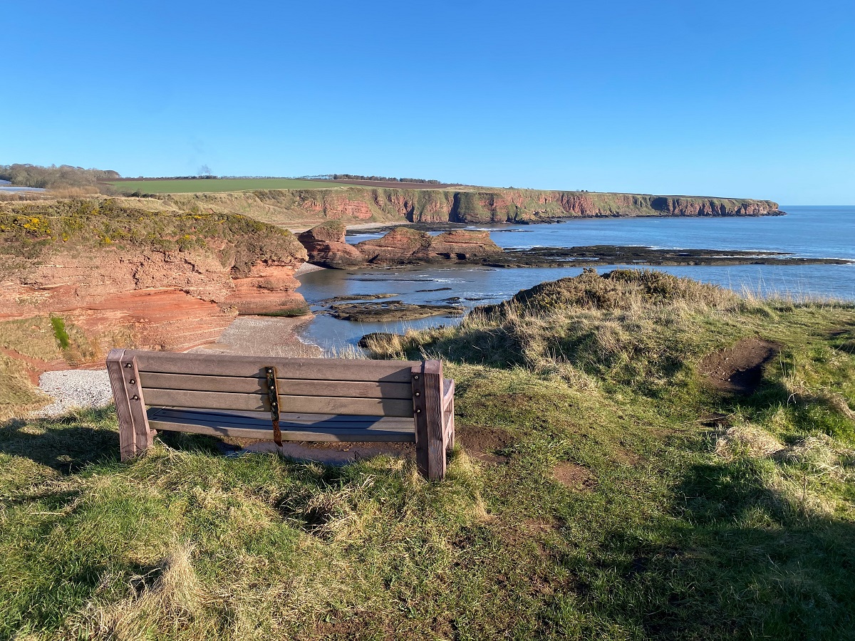 Stories of Stone - guided geology walks of the Arbroath Cliffs