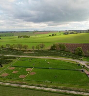 The Scurry Secure Dog Park, Auchterhouse