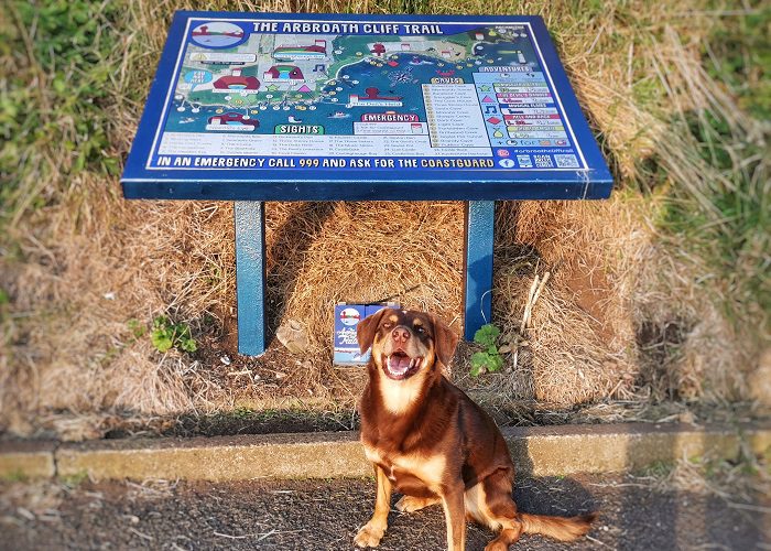 Victoria Park, Arbroath