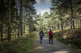 Glen Doll, Perfect for Family Fun in Angus