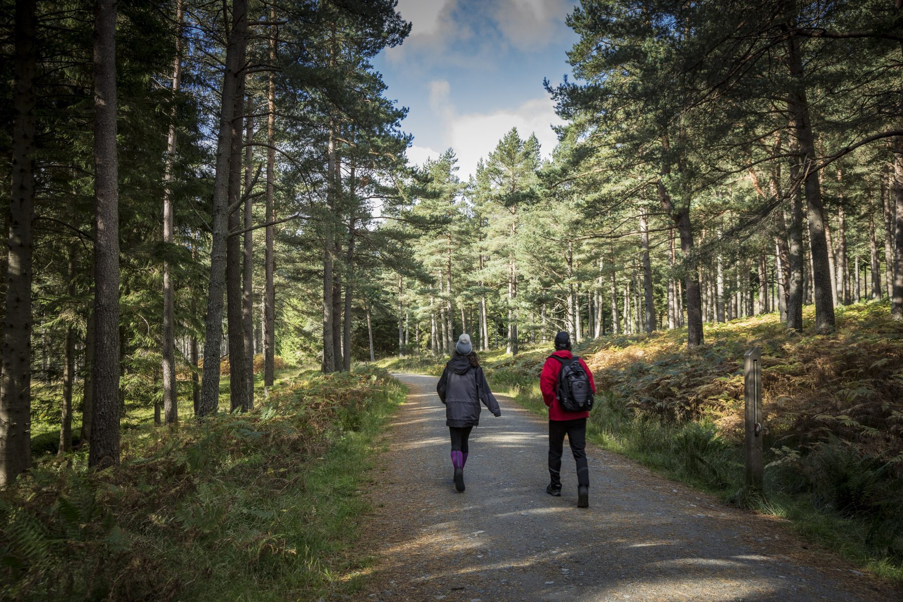 Glen Doll, Perfect for Family Fun in Angus