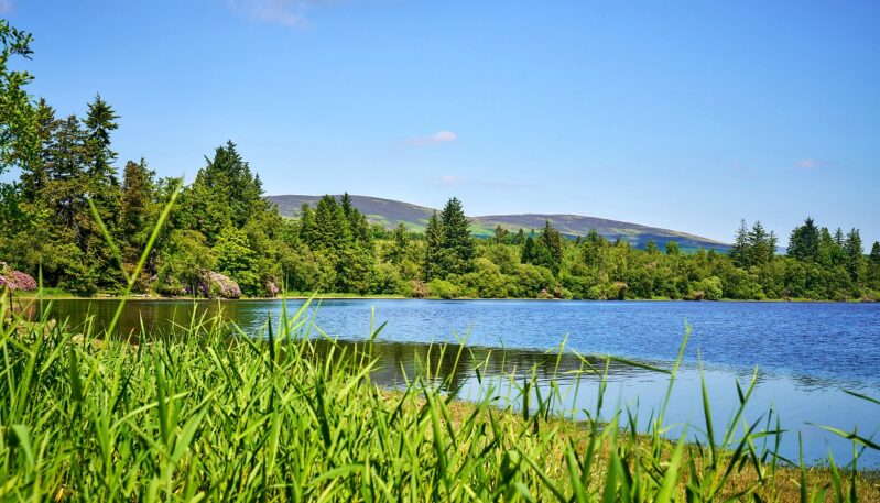 West Lodge - Self Catering Accommodation near Kirriemuir